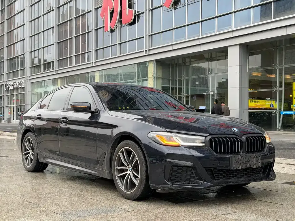 BMW 5 Series (Import) 2021 из CN, фото 10