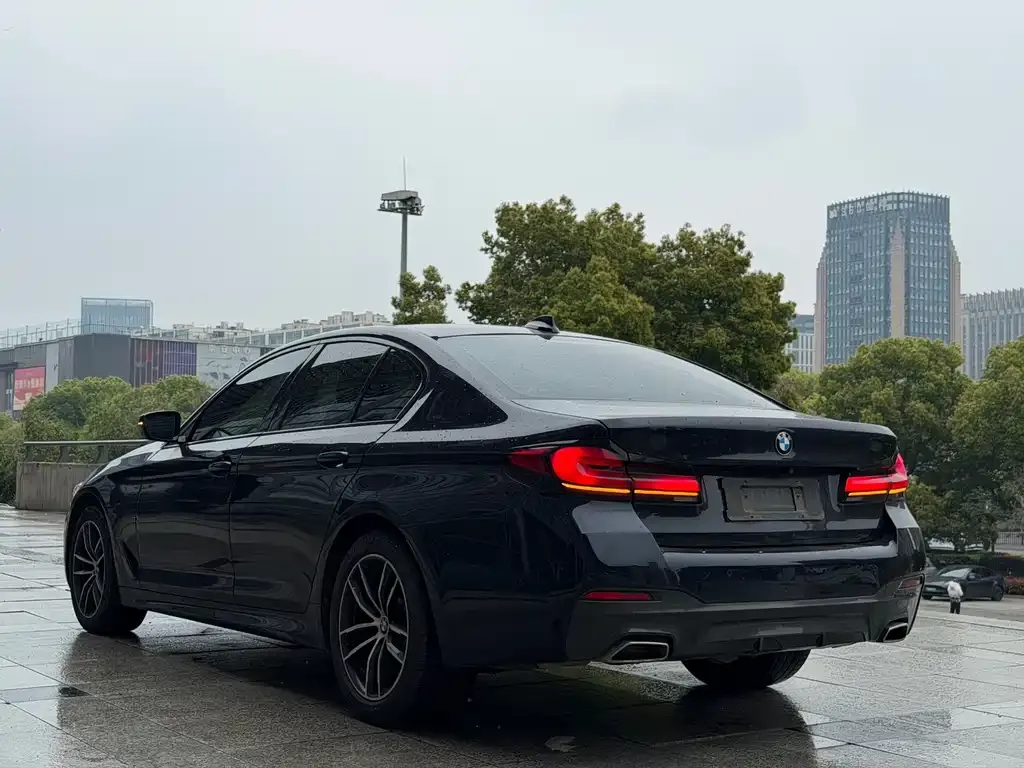 BMW 5 Series (Import) 2021 из CN, фото 5