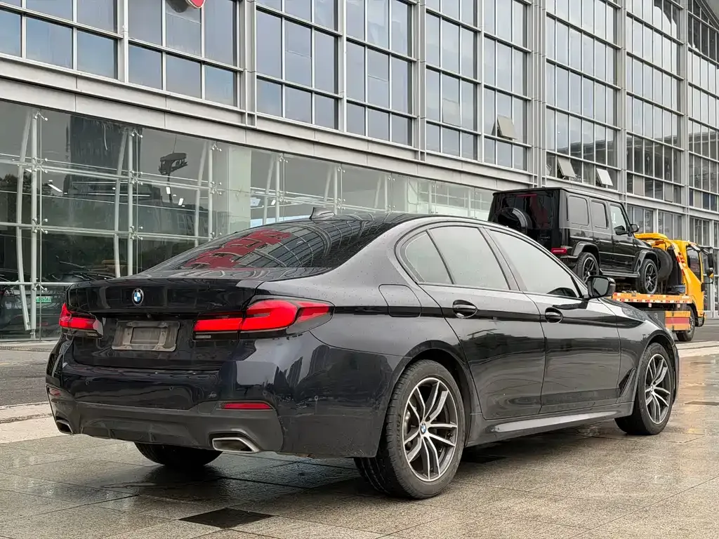 BMW 5 Series (Import) 2021 из CN, фото 9