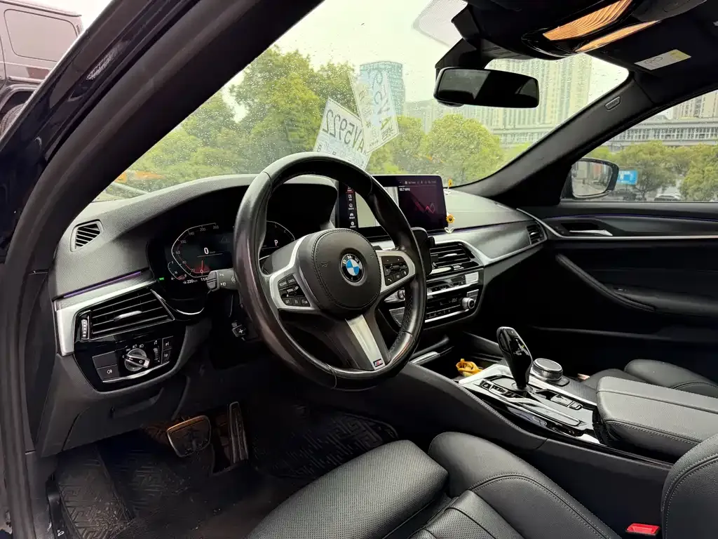 BMW 5 Series (Import) 2021 из CN, фото 8