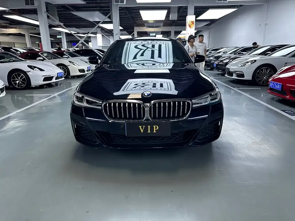 BMW 5 Series 2022 из CN, фото 3