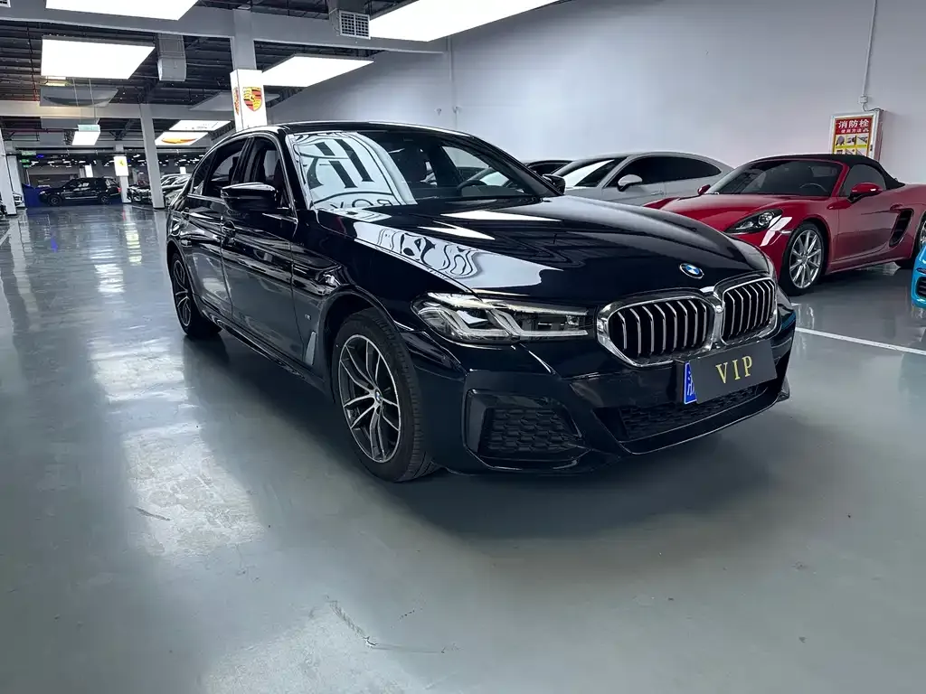 BMW 5 Series 2022 из CN, фото 7