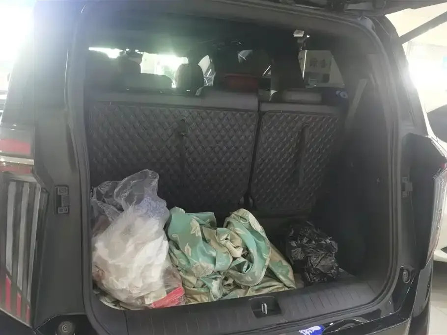 GAC Motor Trumpchi M8 2023 из CN, фото 4