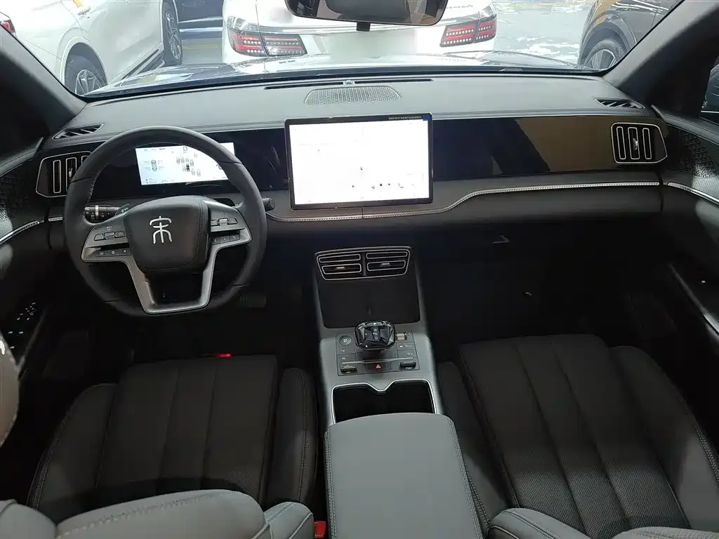 BYD Pro New Energy — фото 4