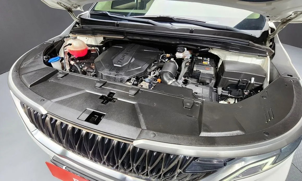 Kia Carnival — фото 10