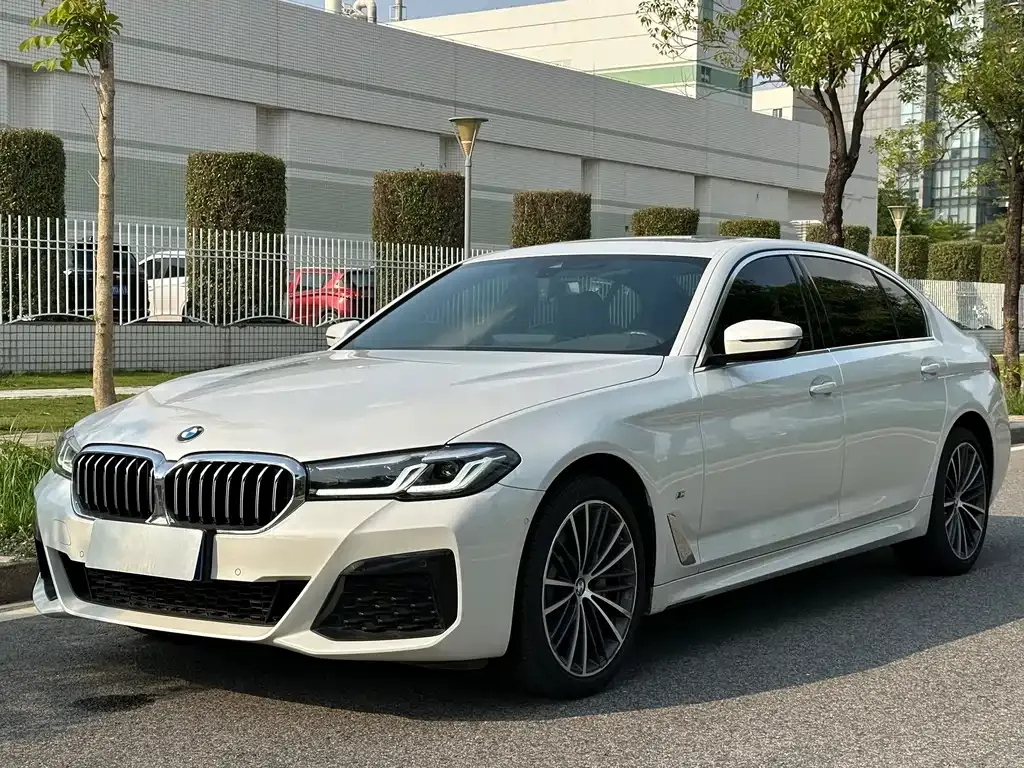 BMW 5 Series 2023 из CN, фото 1