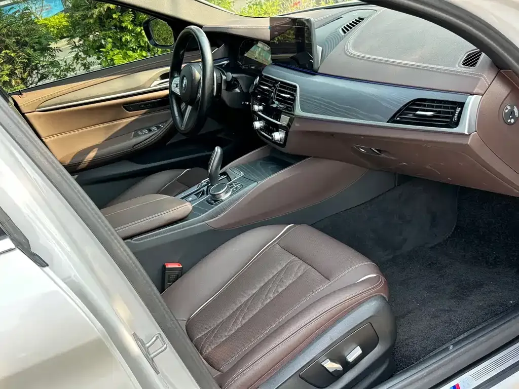 BMW 5 Series 2023 из CN, фото 10