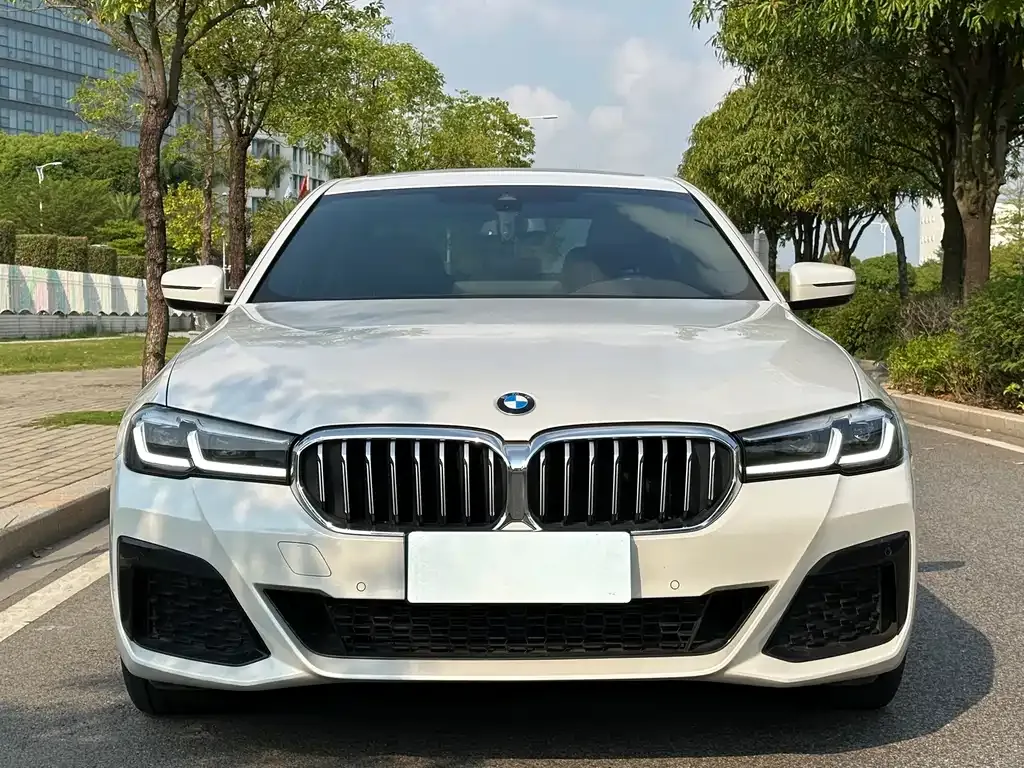 BMW 5 Series 2023 из CN, фото 6