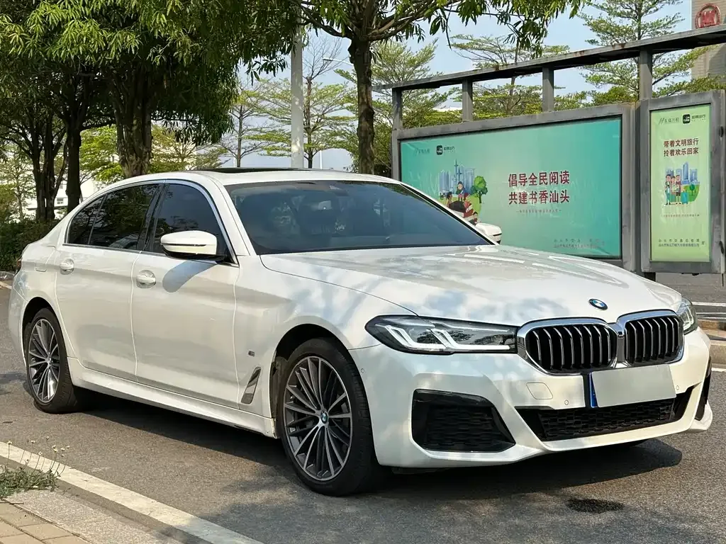 BMW 5 Series 2023 из CN, фото 5