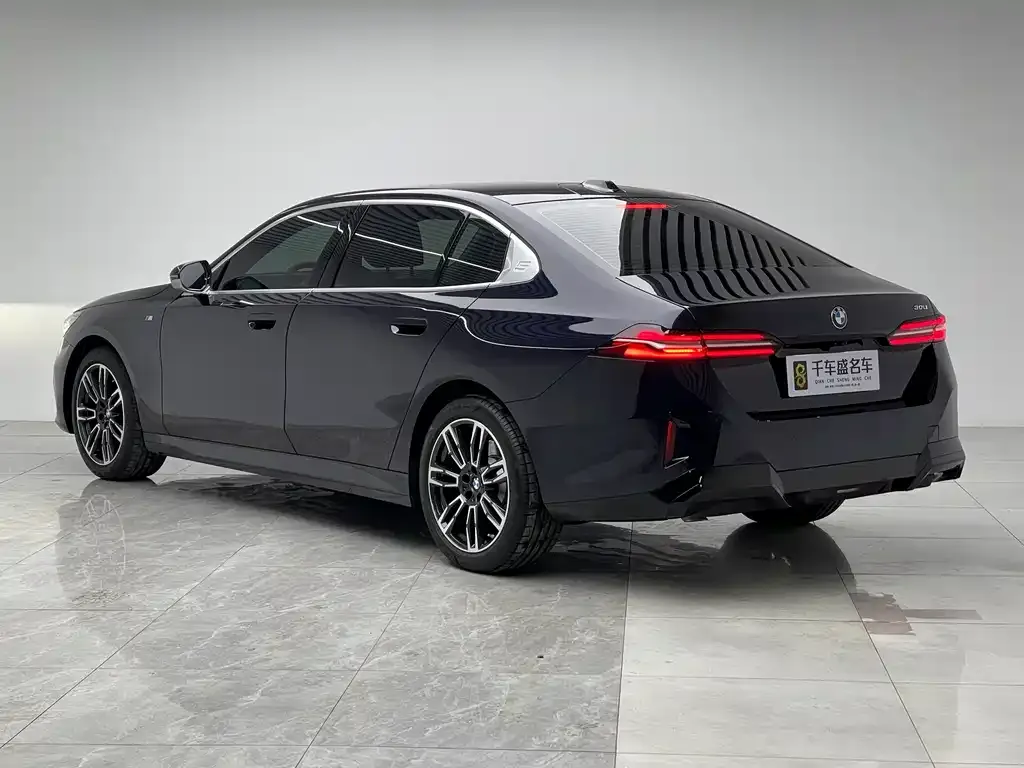 BMW 5 Series 2025 из CN, фото 8