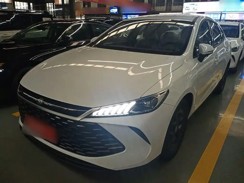 BYD Qin PLUS — фото 1