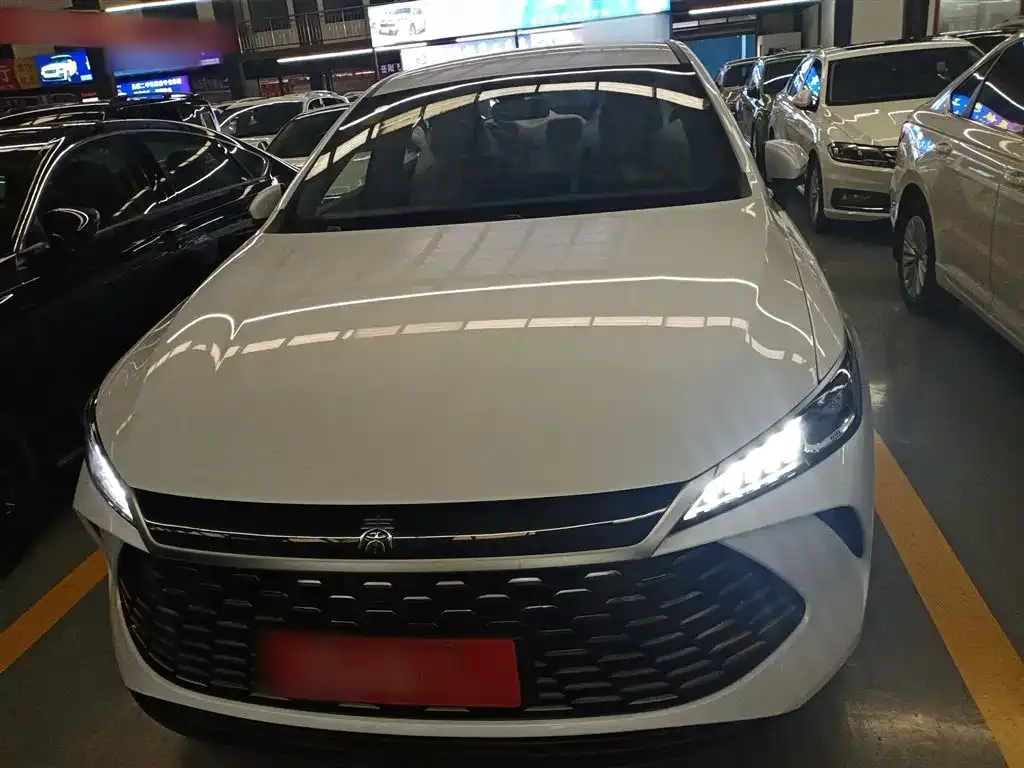 BYD Qin PLUS — фото 10