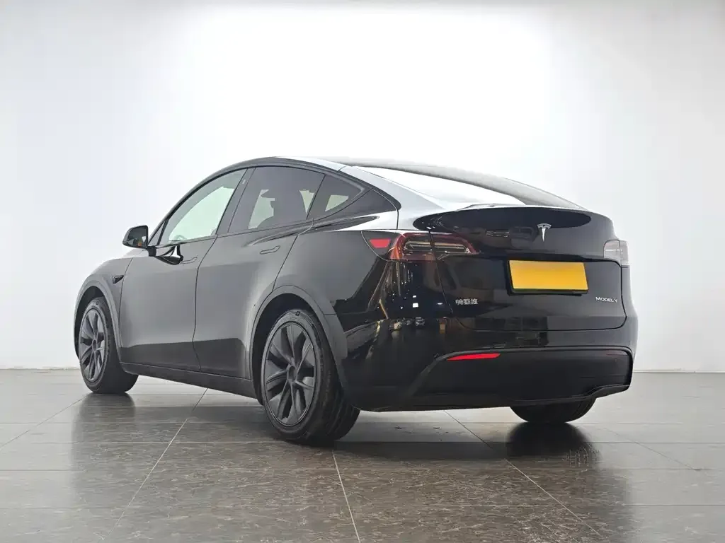 Tesla Model Y — фото 5