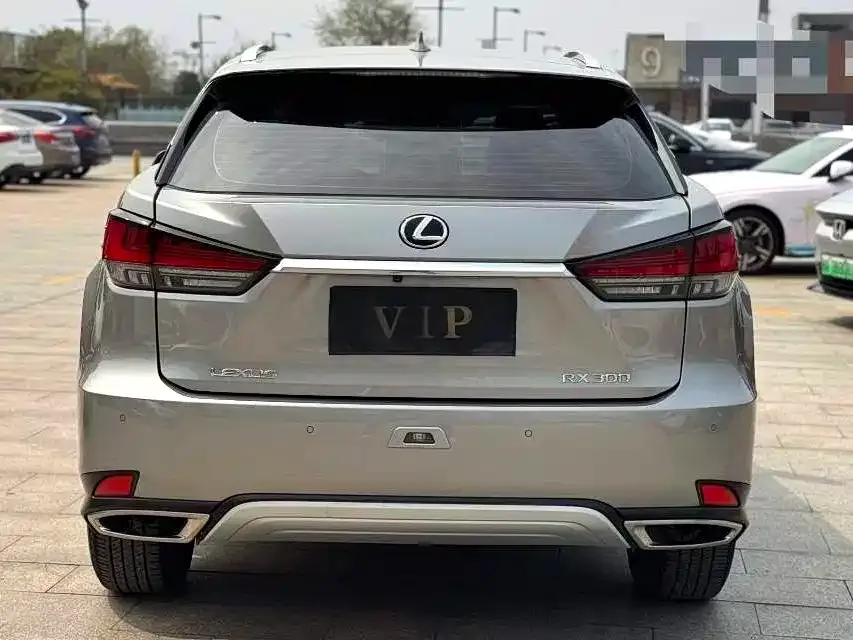 Lexus RX 2022 из CN, фото 2