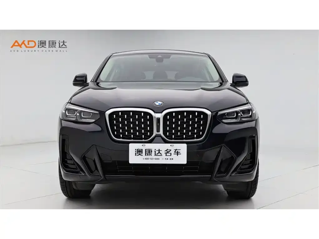 BMW X4 2024 из CN, фото 3