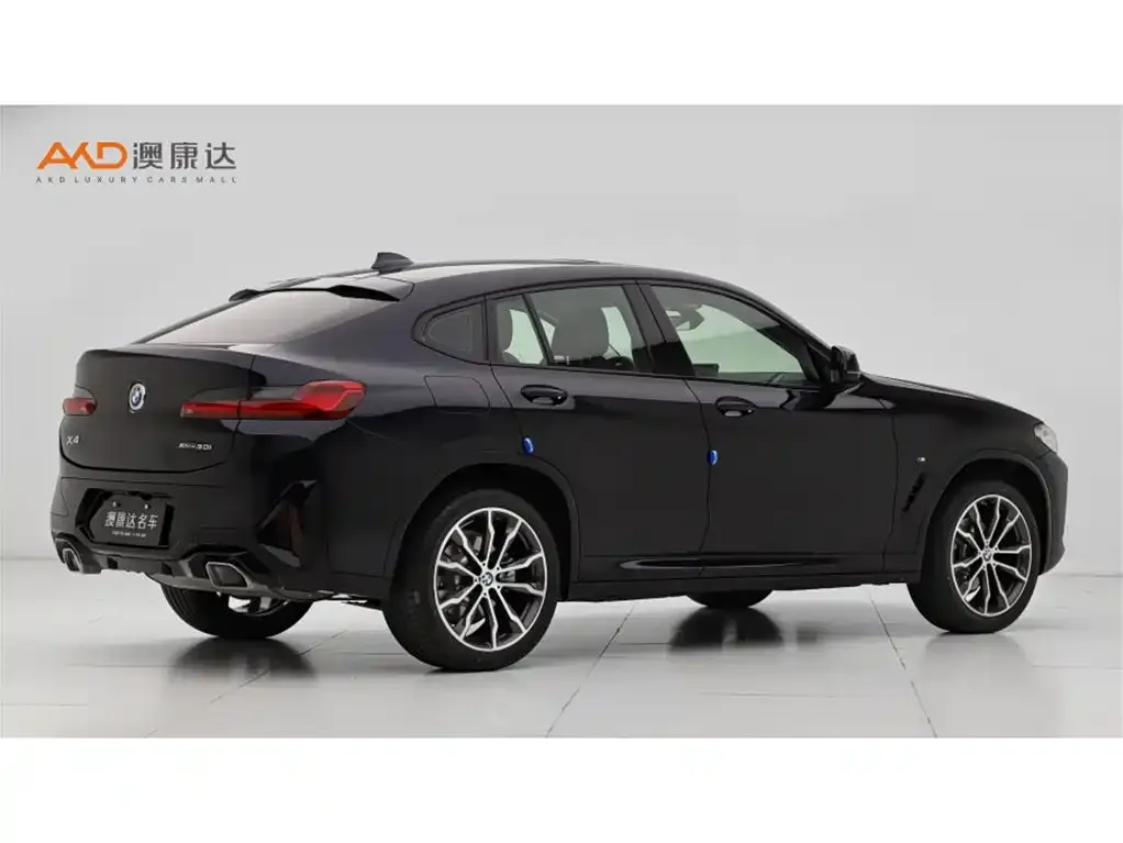 BMW X4 2024 из CN, фото 10