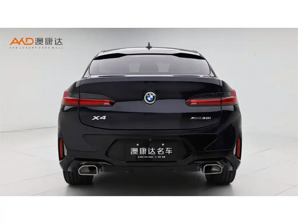 BMW X4 2024 из CN, фото 8