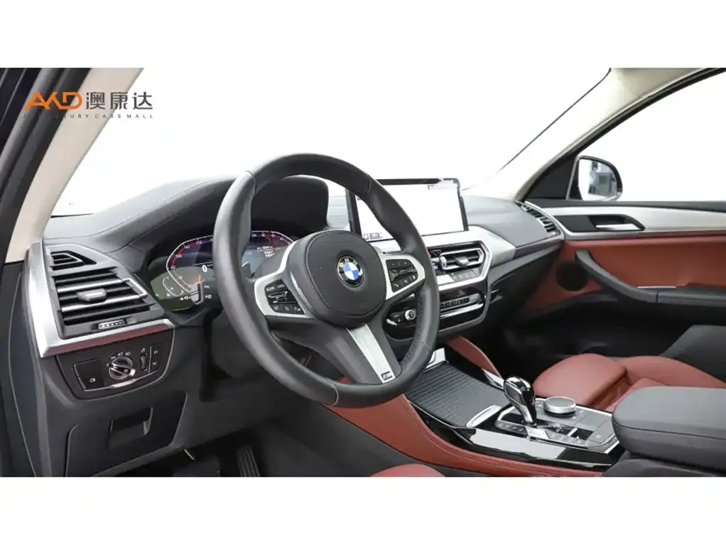 BMW X4 2024 из CN, фото 4