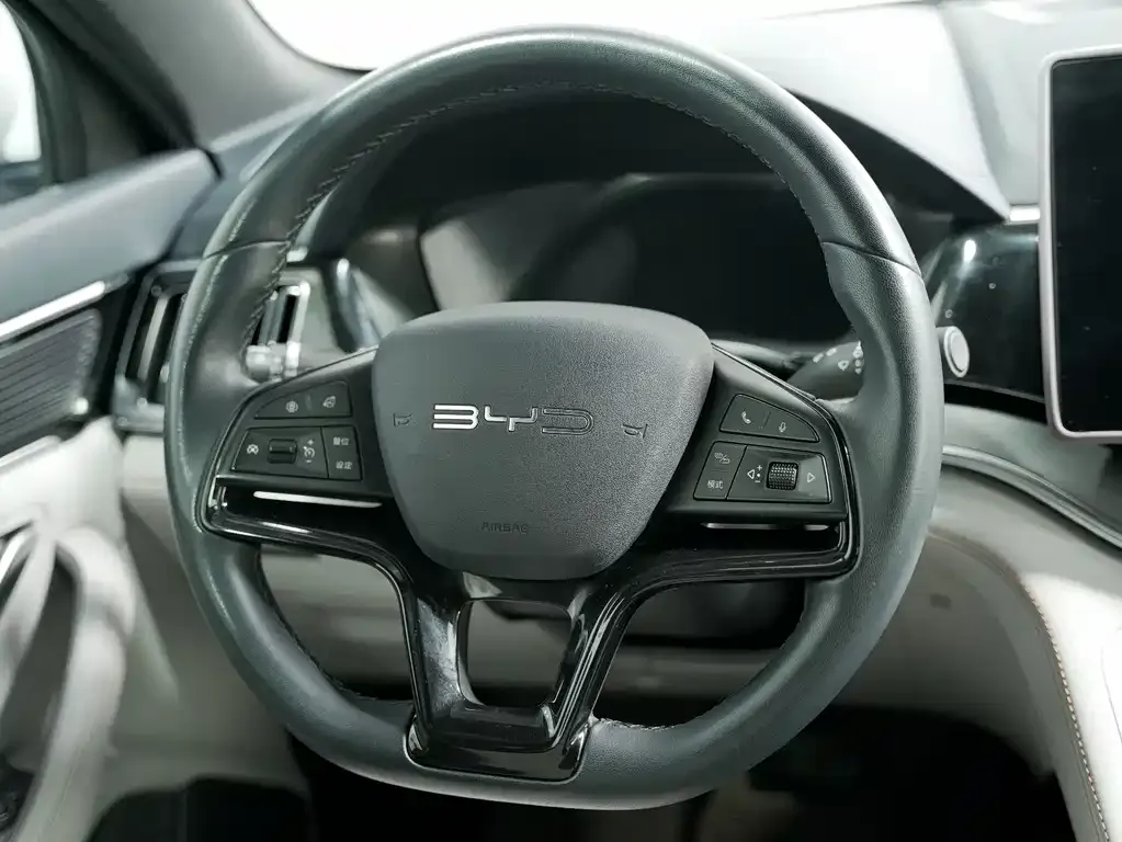 BYD PLUS New Energy — фото 8