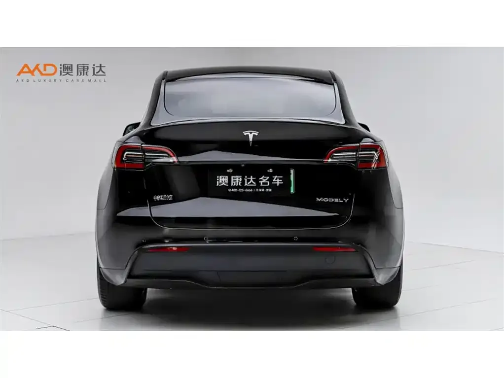 Tesla Model Y — фото 8