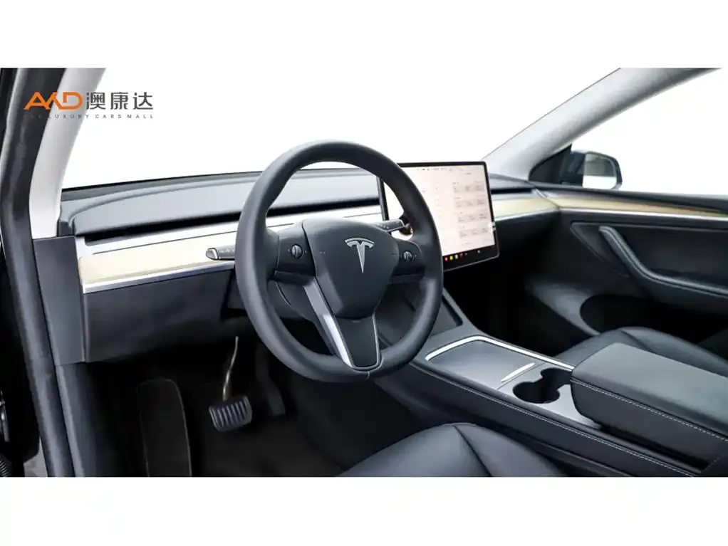 Tesla Model Y — фото 9