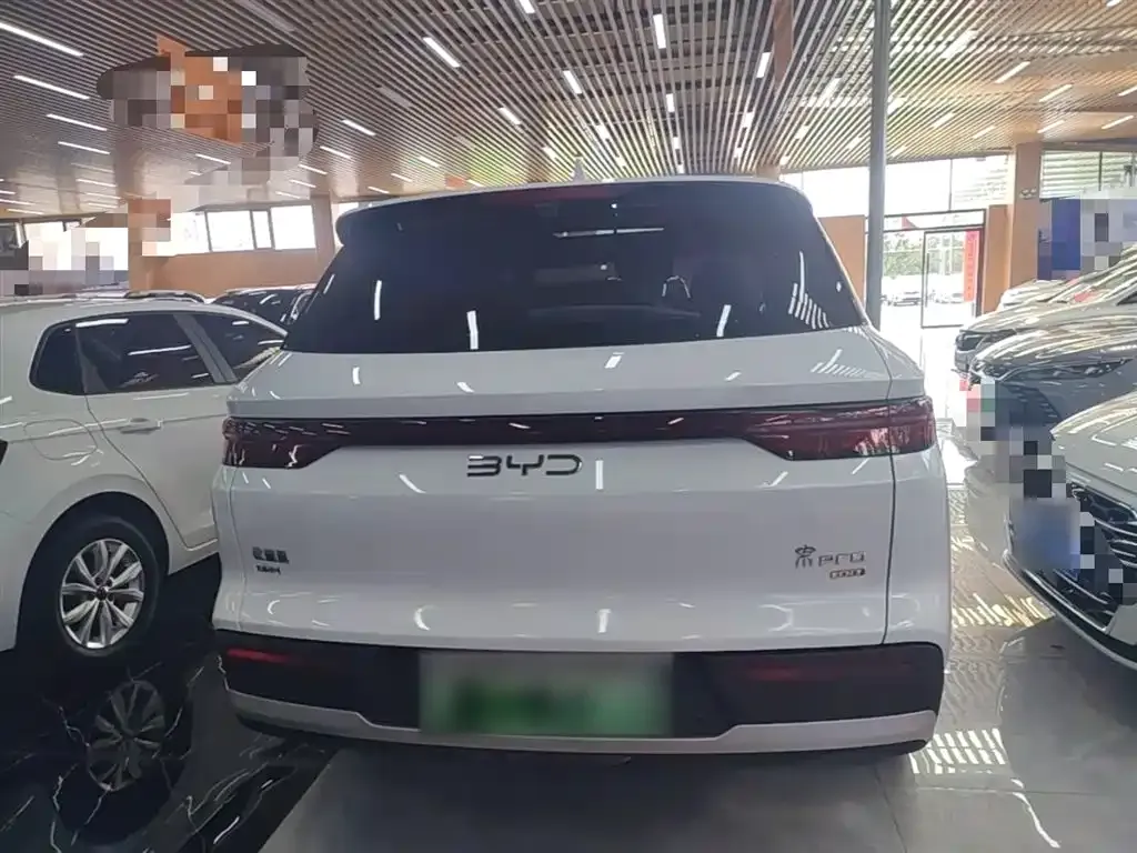 BYD Pro New Energy — фото 9