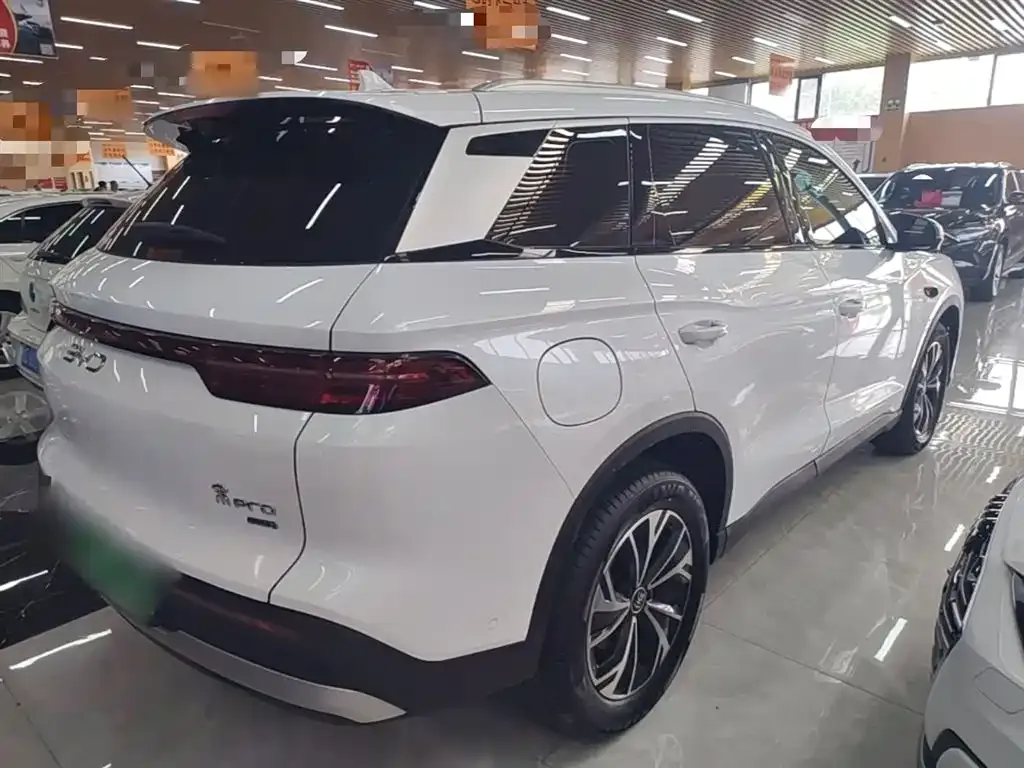 BYD Pro New Energy — фото 10