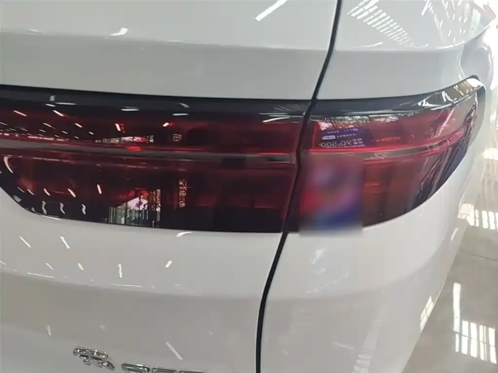 BYD Pro New Energy — фото 2