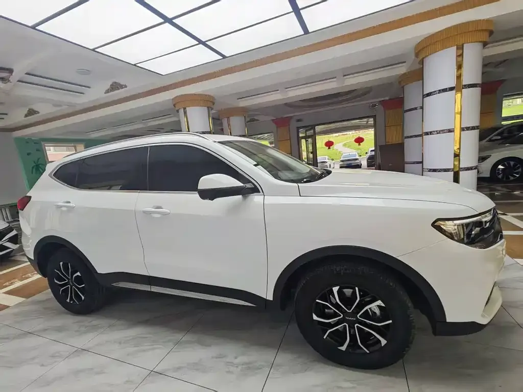 Haval H6 — фото 10