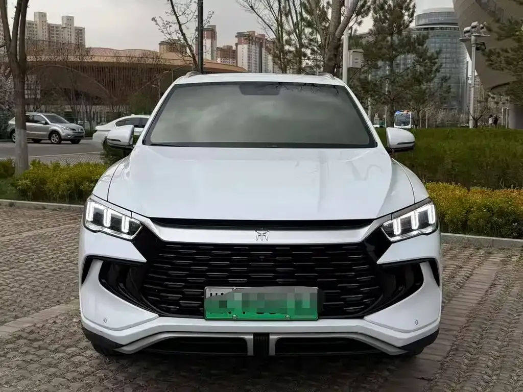 BYD Pro New Energy — фото 6