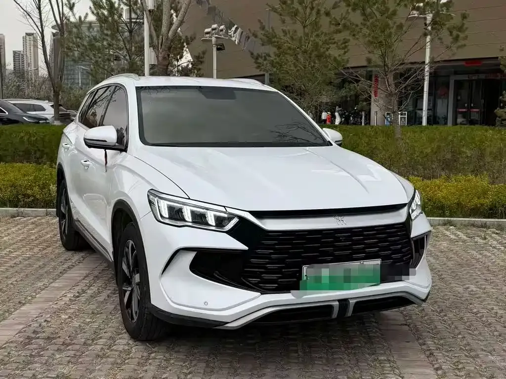 BYD Pro New Energy — фото 8