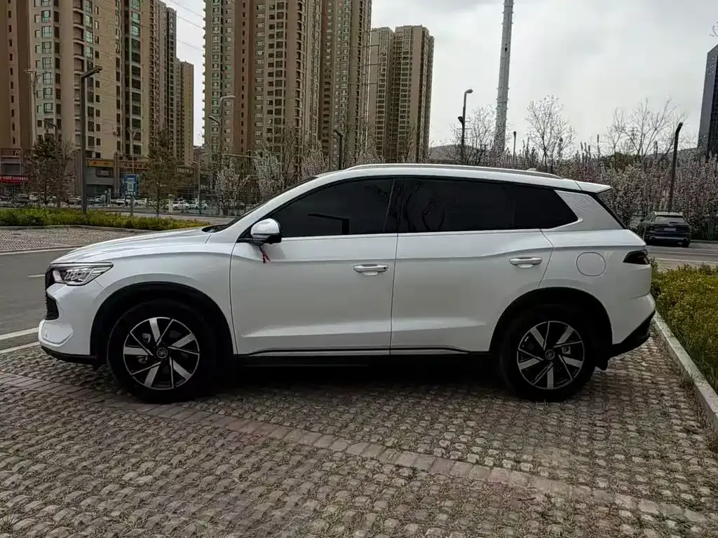 BYD Pro New Energy — фото 9