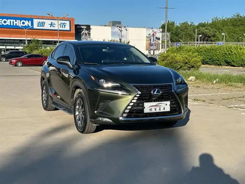 Lexus NX 2021 из CN, фото 6