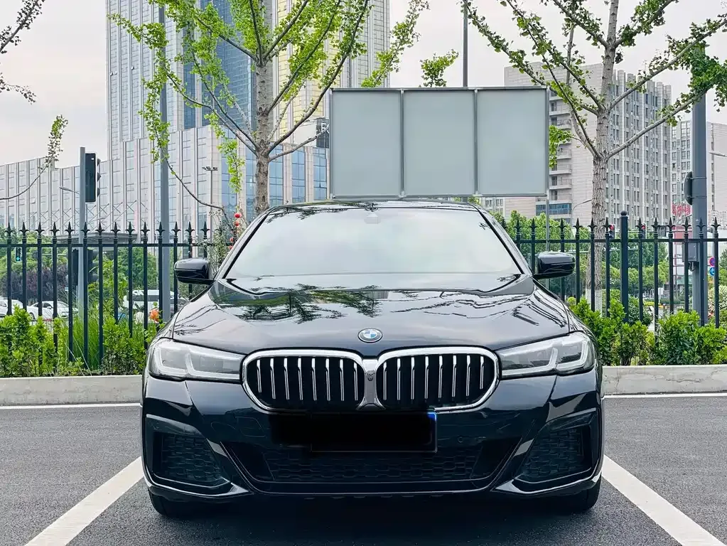 BMW 5 Series 2021 из CN, фото 7