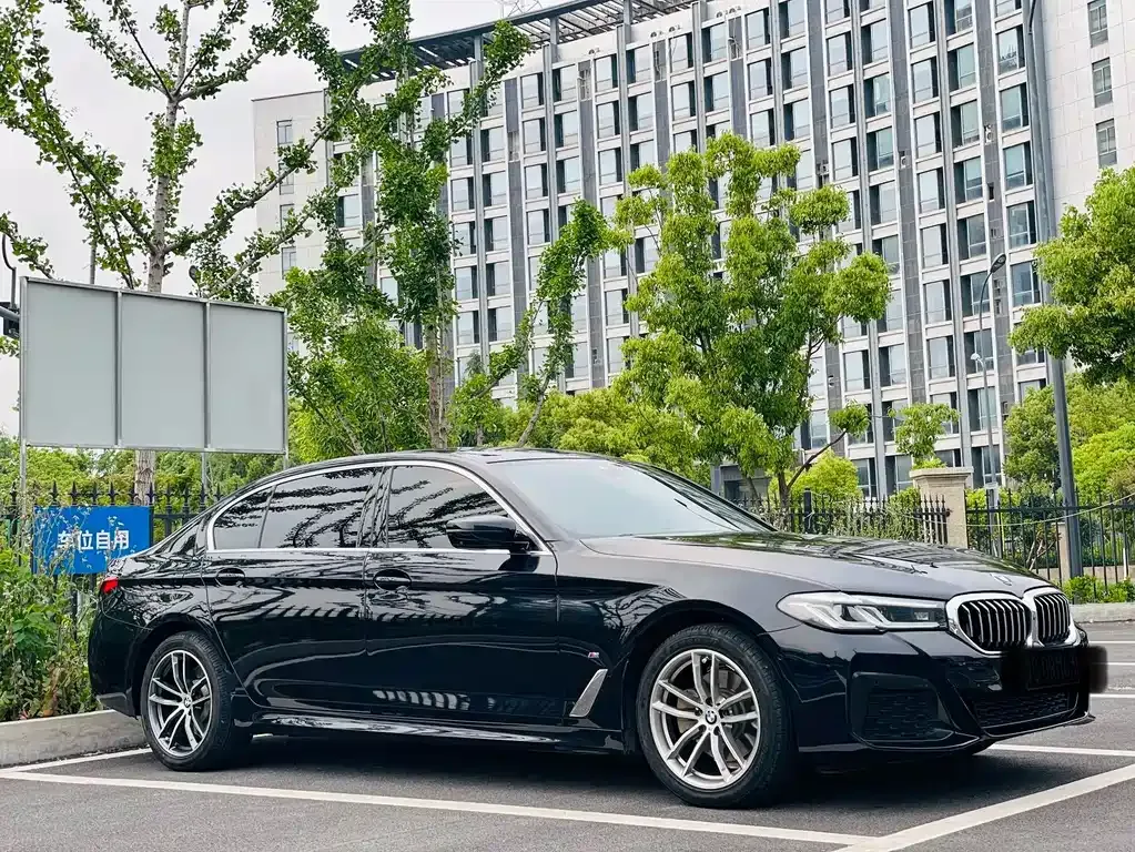 BMW 5 Series 2021 из CN, фото 5