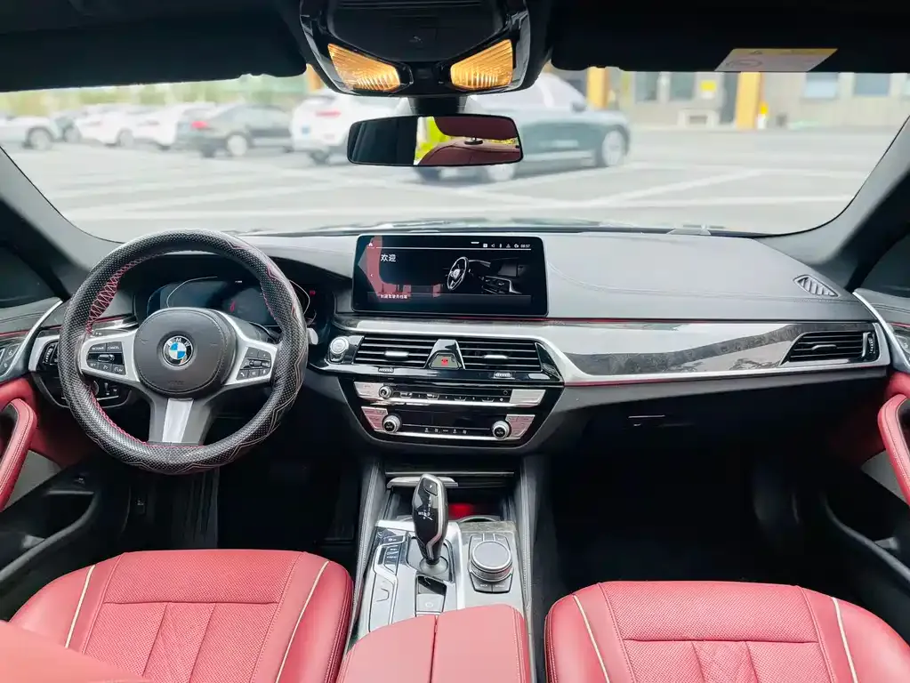 BMW 5 Series 2021 из CN, фото 4