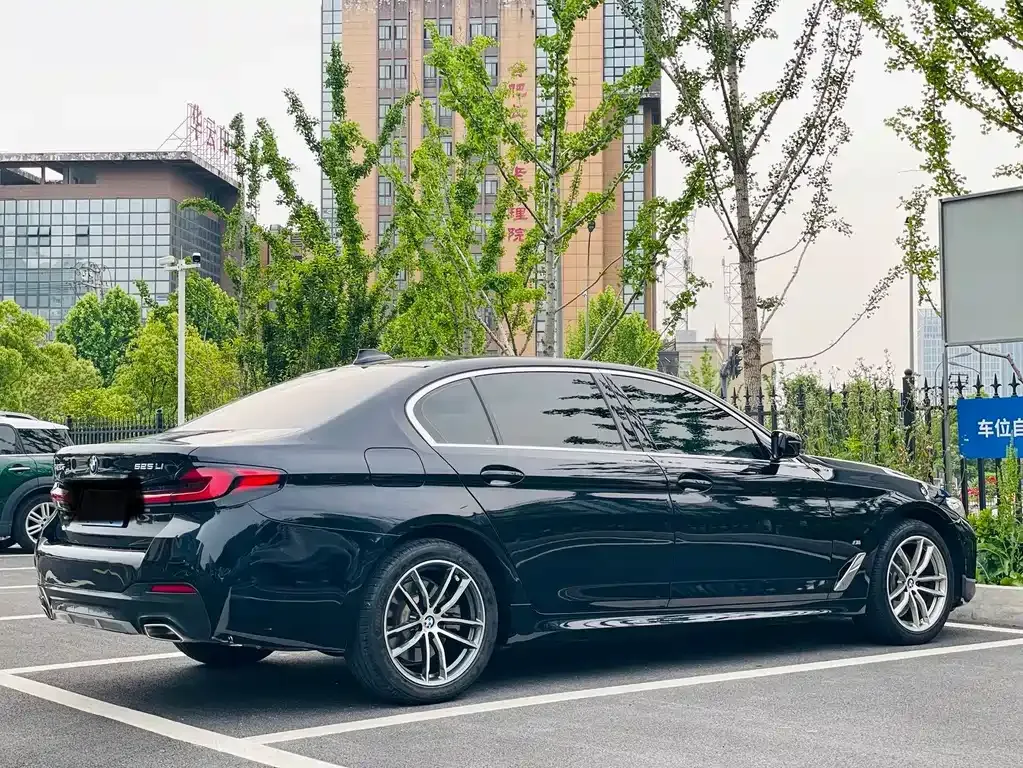 BMW 5 Series 2021 из CN, фото 9