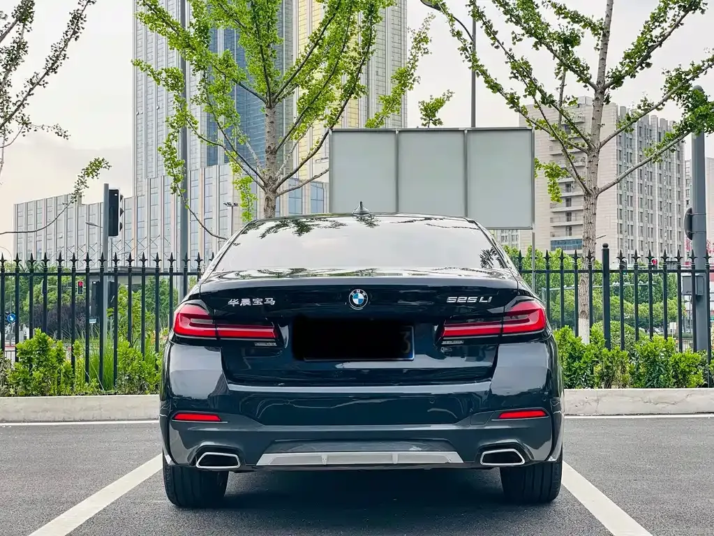 BMW 5 Series 2021 из CN, фото 6