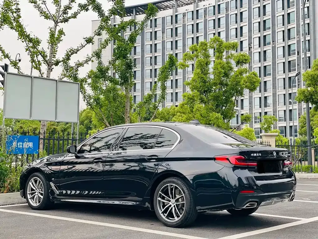 BMW 5 Series 2021 из CN, фото 8