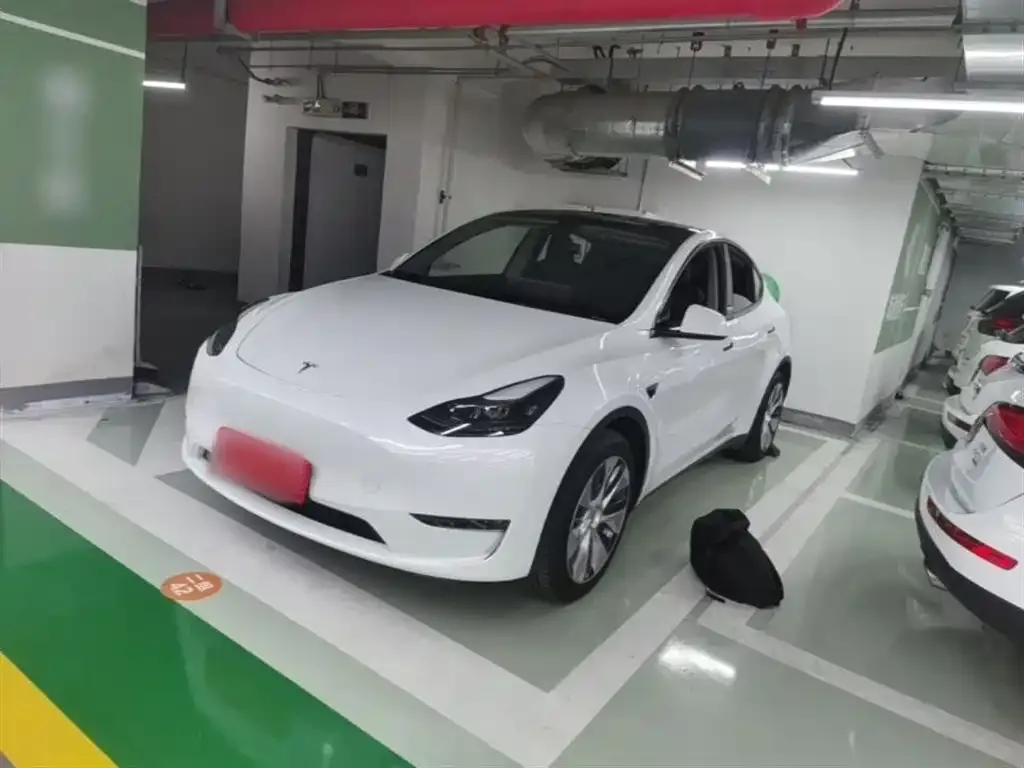 Tesla Model Y — фото 10