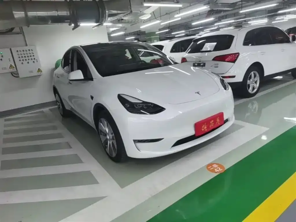 Tesla Model Y — фото 3