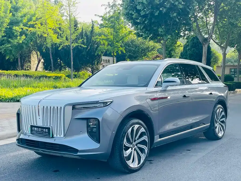 Hongqi E-HS9 2023 из CN, фото 1