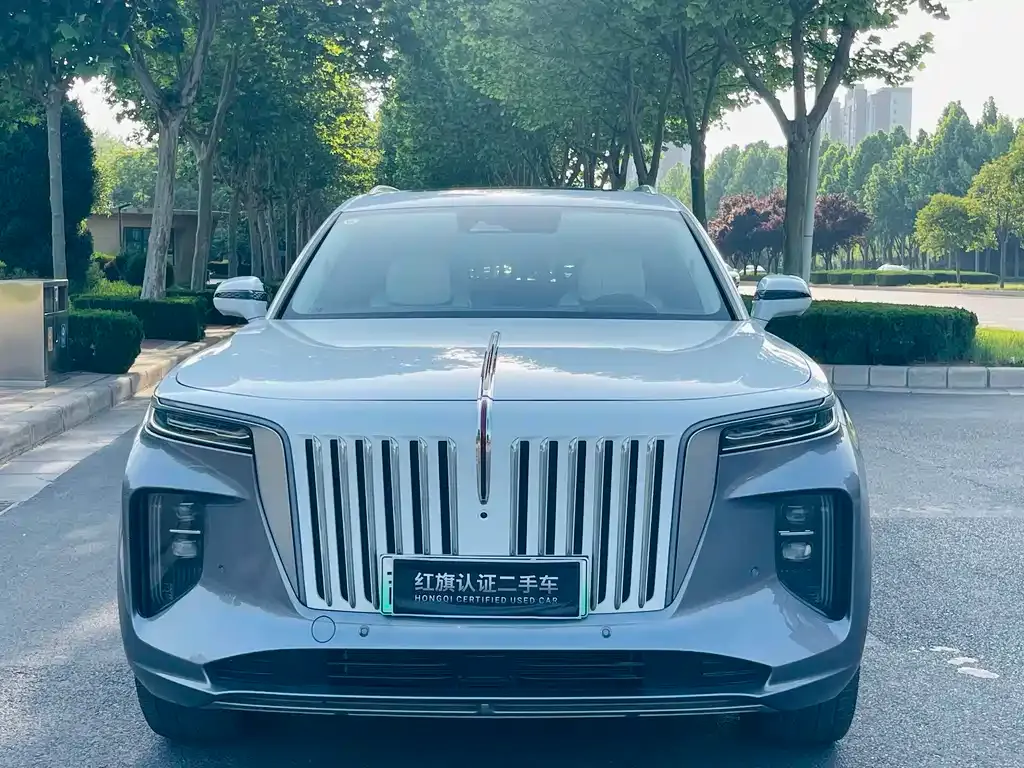 Hongqi E-HS9 2023 из CN, фото 6