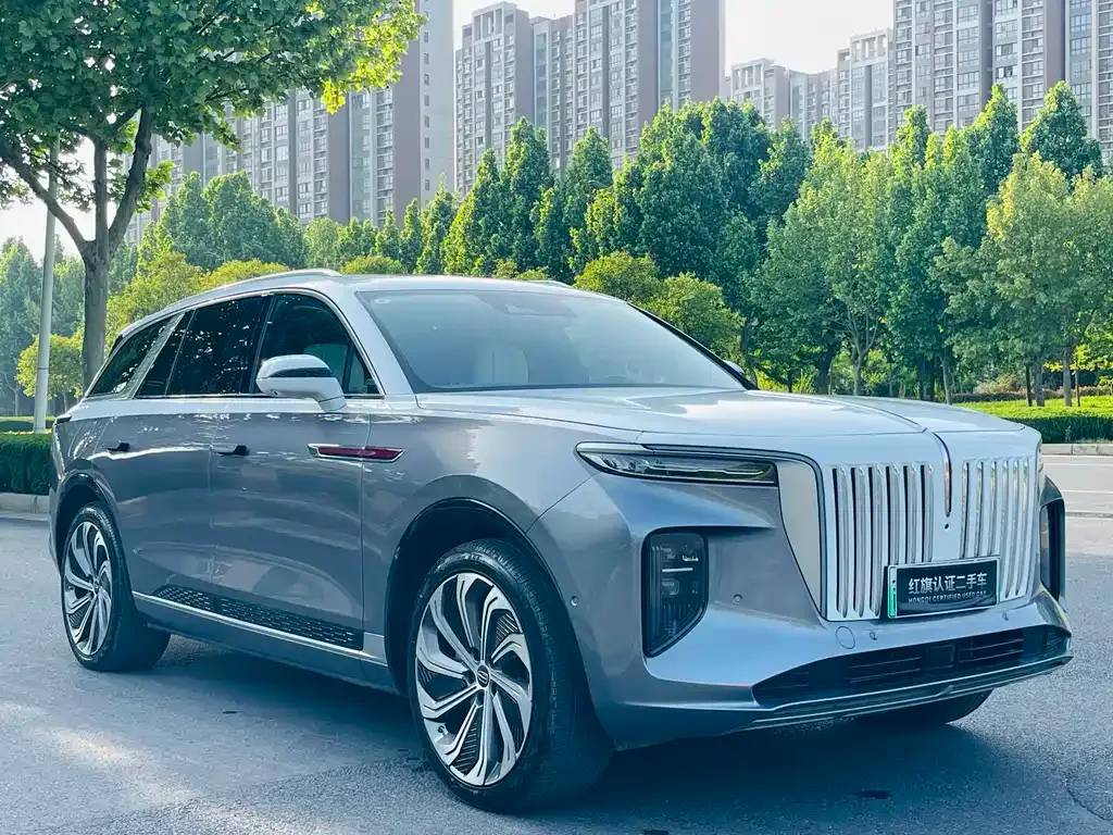 Hongqi E-HS9 2023 из CN, фото 9