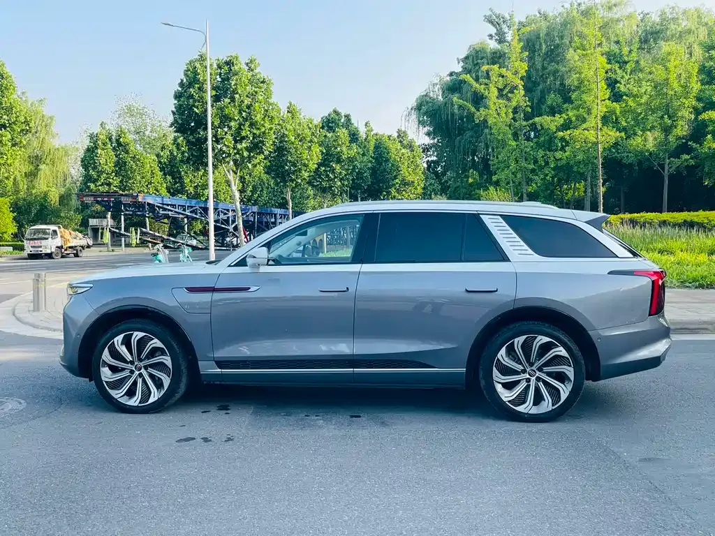 Hongqi E-HS9 2023 из CN, фото 10