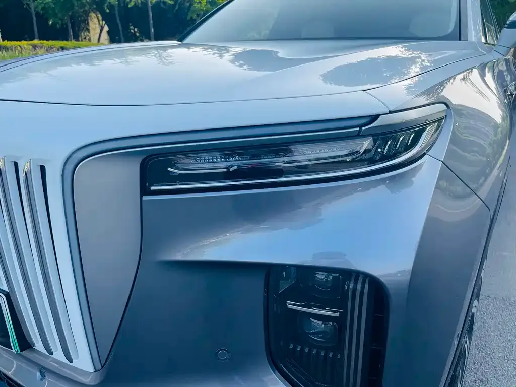 Hongqi E-HS9 2023 из CN, фото 8