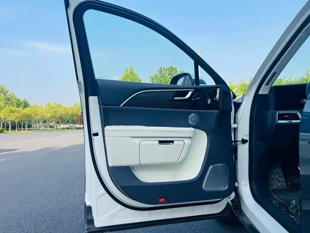 Hongqi E-HS9 2023 из CN, фото 3