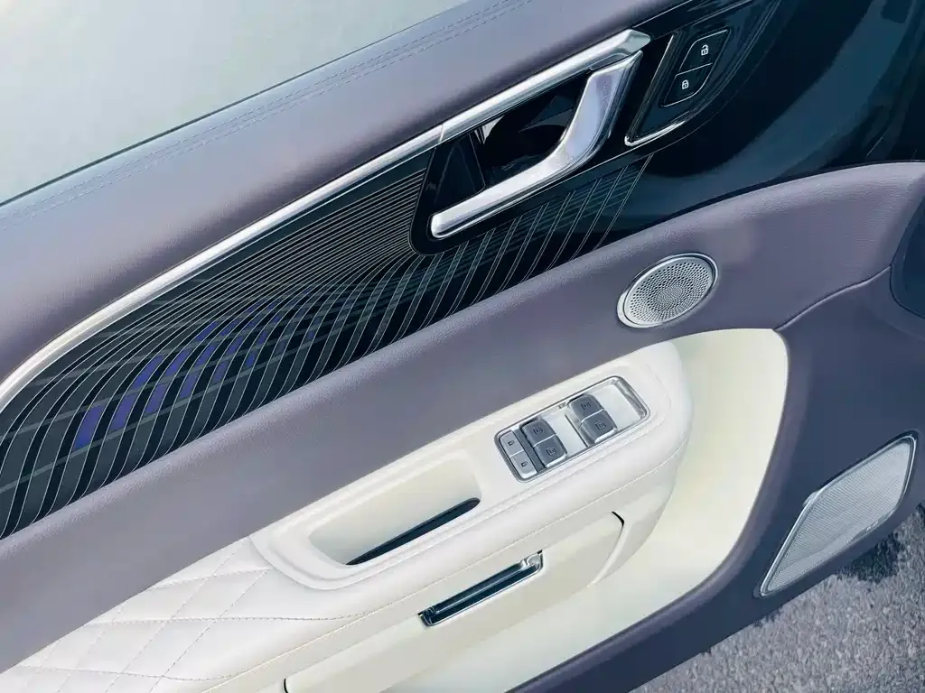 Hongqi E-HS9 2023 из CN, фото 5