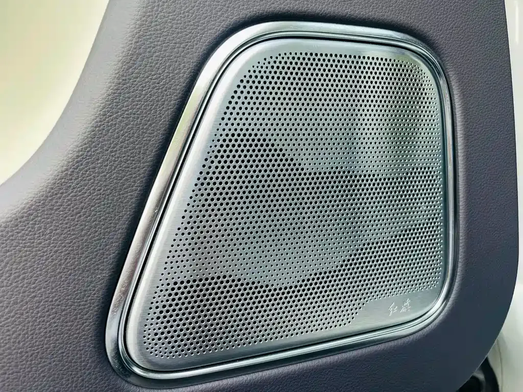 Hongqi E-HS9 2023 из CN, фото 7