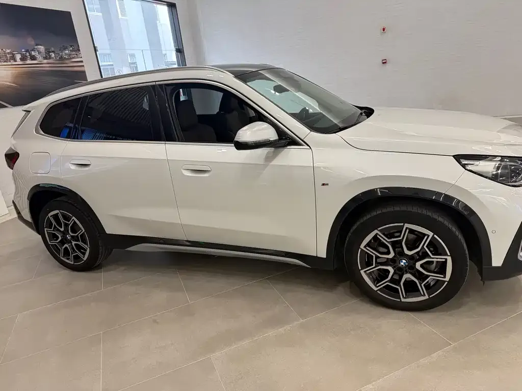 BMW X1 2024 из CN, фото 6